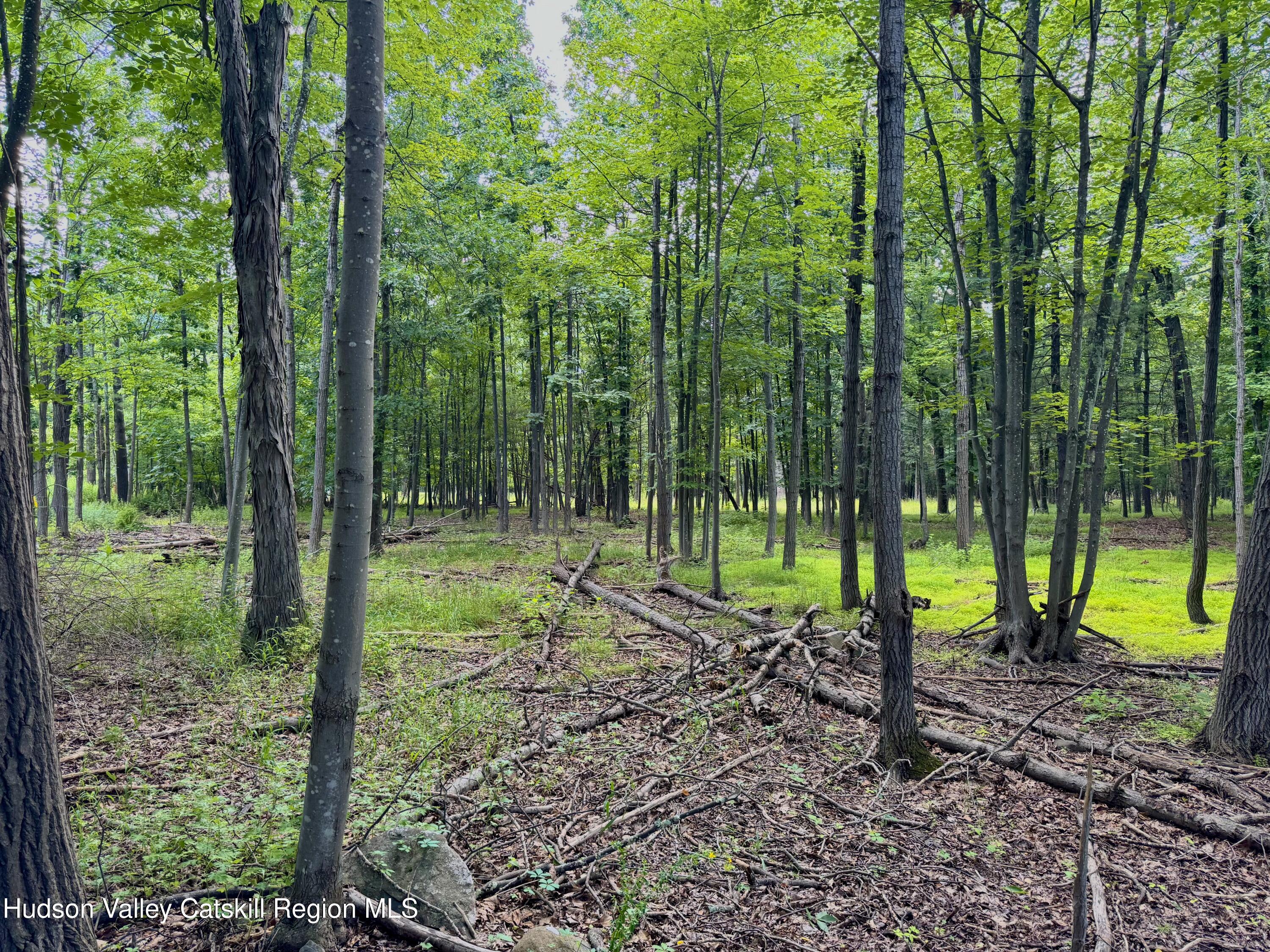 334 Pollys Rock Road Round Top, NY 12473 - Photo 6 of 11 6