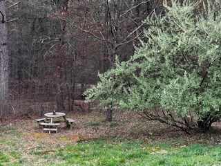 851 Stansbury Mountain Road Copperhill, TN 37317 - Photo 33 of 57
