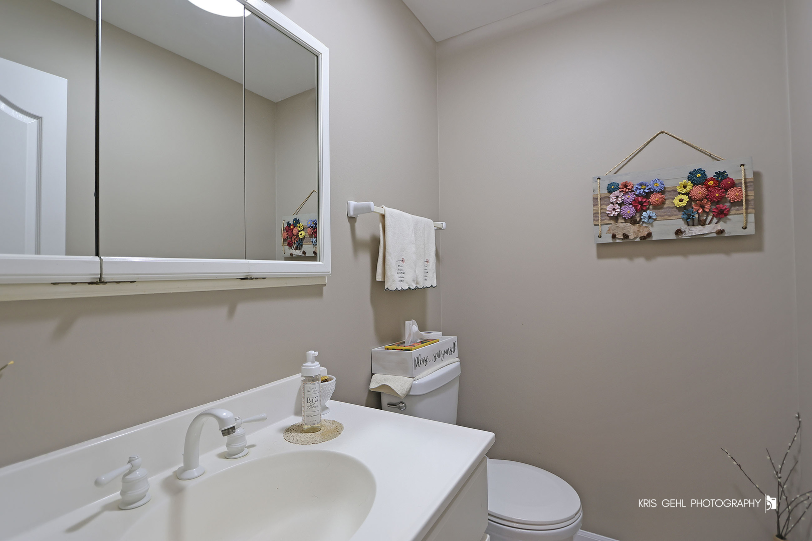 9209 Anthony Lane Spring Grove, IL 60081 - Photo 6 of 33 Gallery Image 6