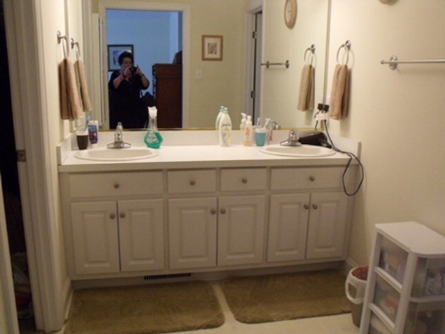 10230 Chestnut Ridge Road Bailey, NC 27807 - Photo 12 of 21 Additional Photo