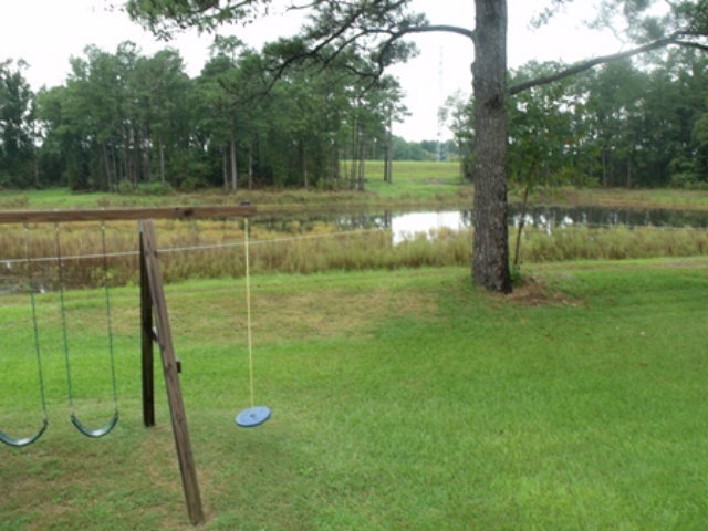 10230 Chestnut Ridge Road Bailey, NC 27807 - Photo 19 of 21 Additional Photo