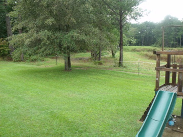 10230 Chestnut Ridge Road Bailey, NC 27807 - Photo 20 of 21 Additional Photo