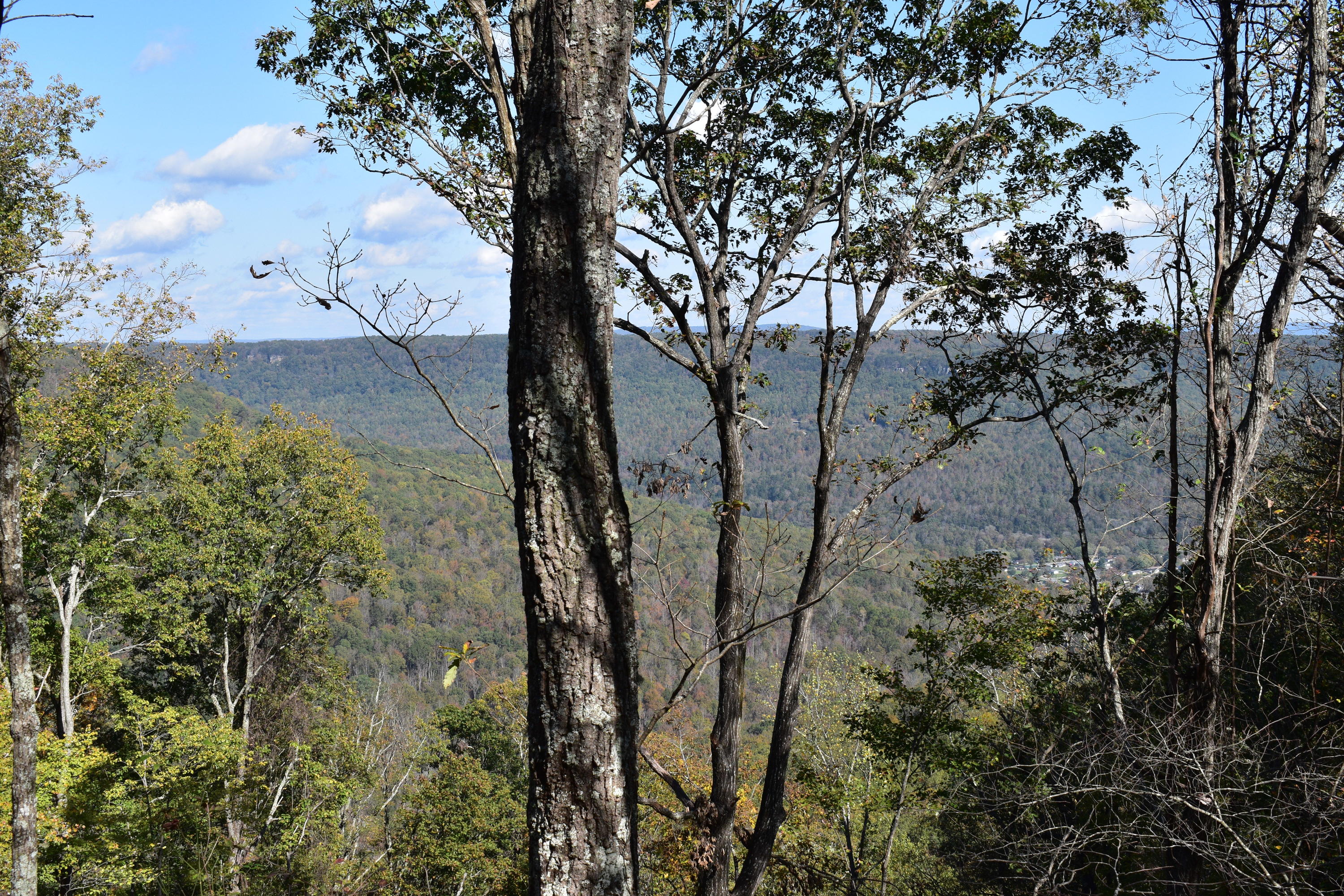 0 High Point Lane, Unit 90 Jasper, TN 37347 - Photo 1 of 12 DSC_0074