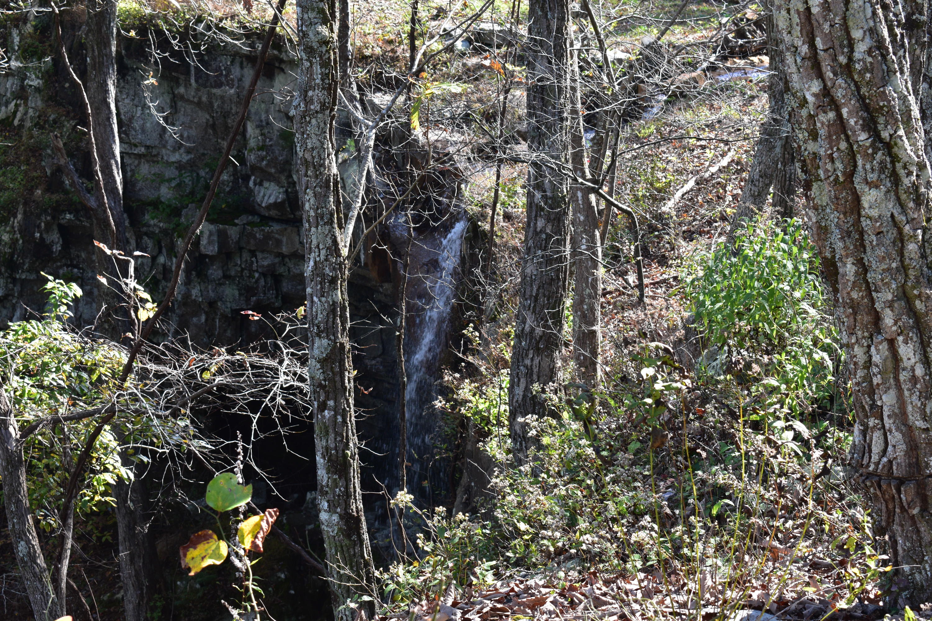 0 High Point Lane, Unit 90 Jasper, TN 37347 - Photo 2 of 12 DSC_0076