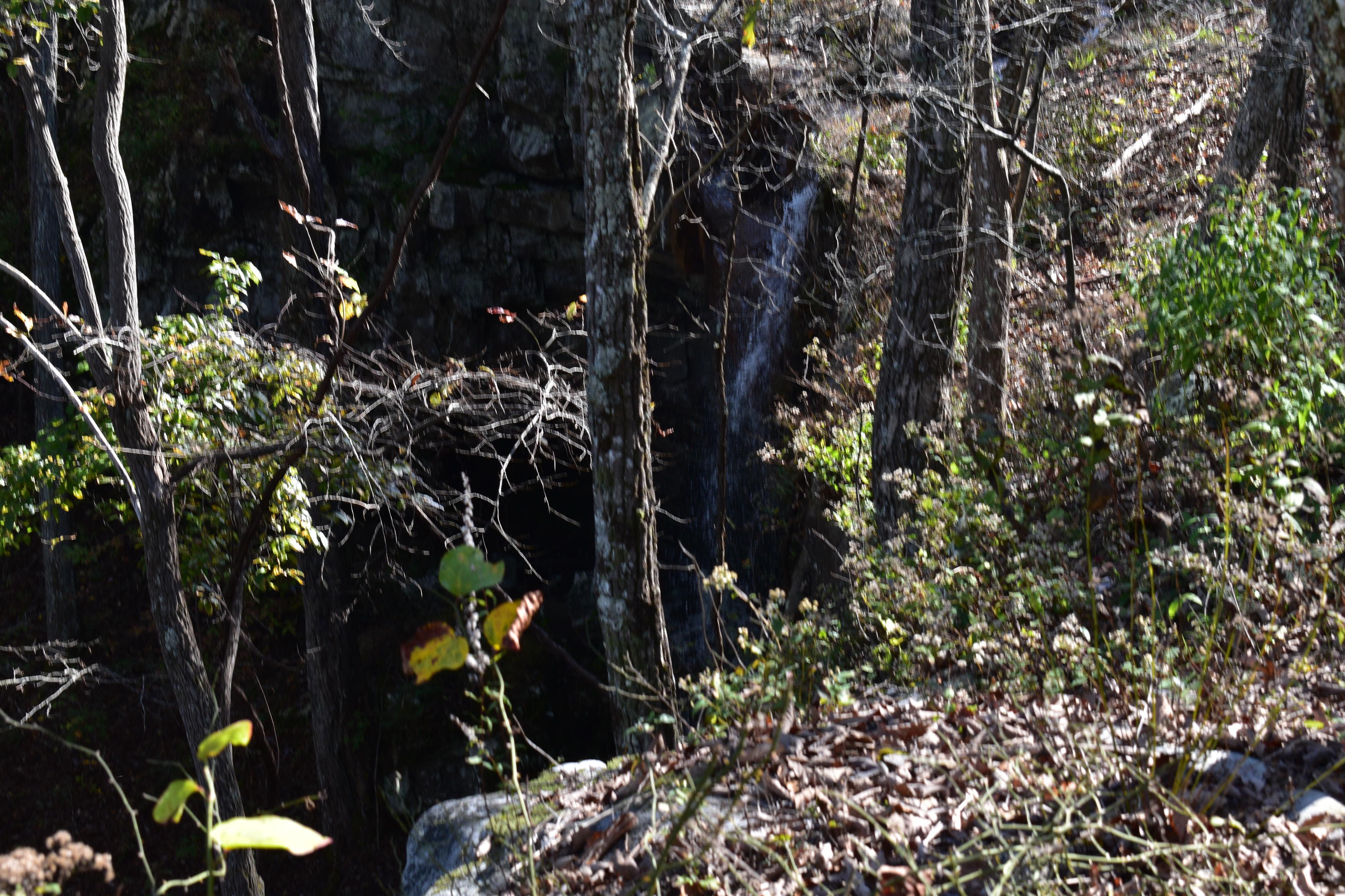 0 High Point Lane, Unit 90 Jasper, TN 37347 - Photo 4 of 12 DSC_0075