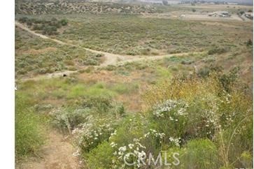 0 Juniper Flats Road Nuevo, CA 92567 - Photo 5 of 15