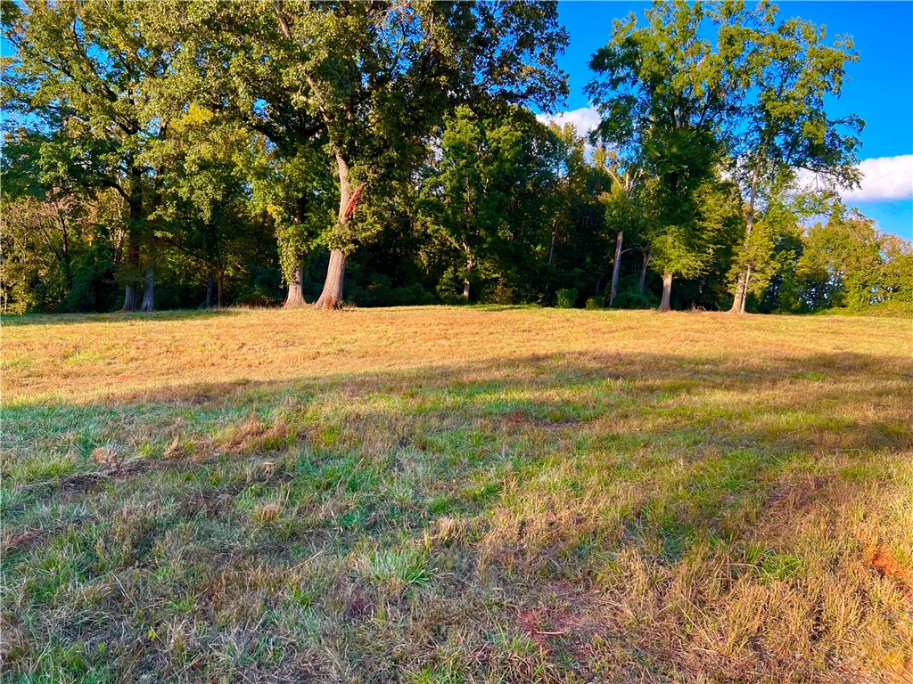 1520 Cannon Bottom Road Belton, SC 29627 - Photo 1 of 14