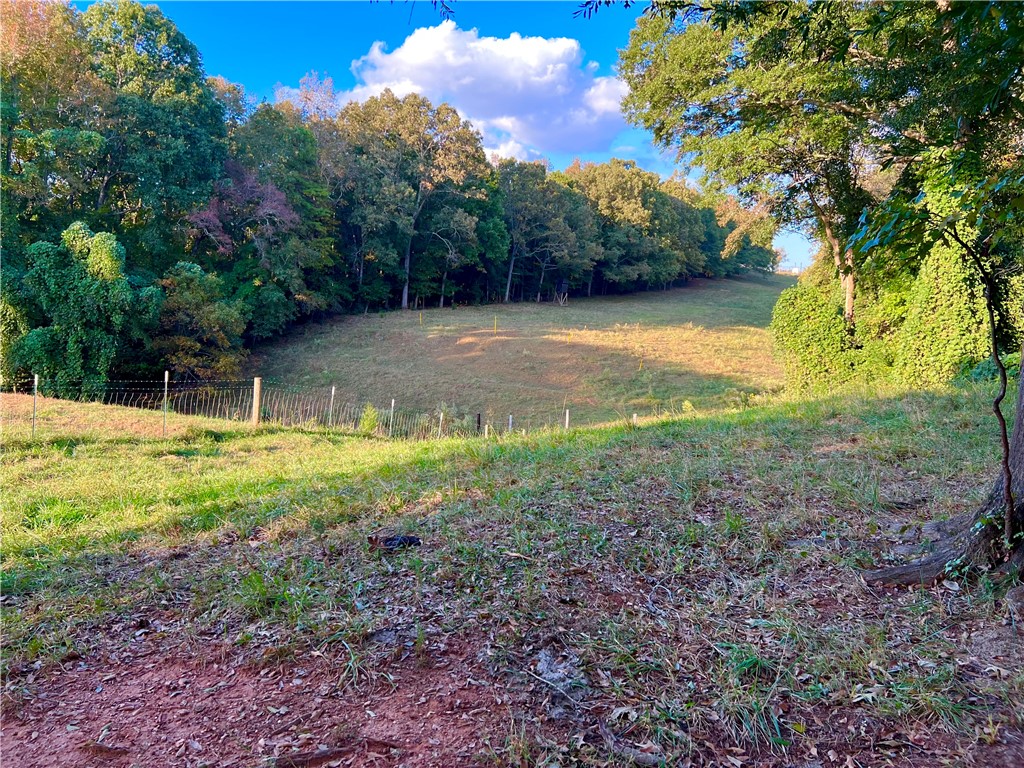 1520 Cannon Bottom Road Belton, SC 29627 - Photo 3 of 14