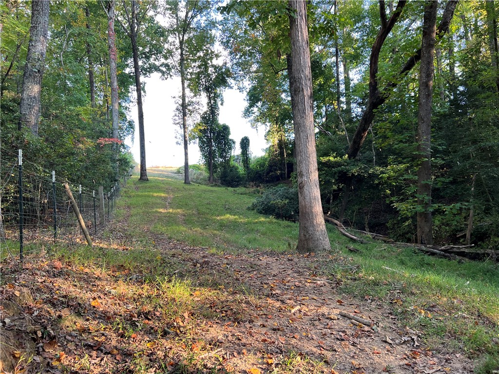 1520 Cannon Bottom Road Belton, SC 29627 - Photo 4 of 14