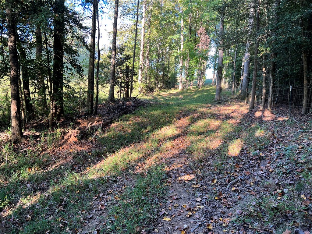 1520 Cannon Bottom Road Belton, SC 29627 - Photo 5 of 14