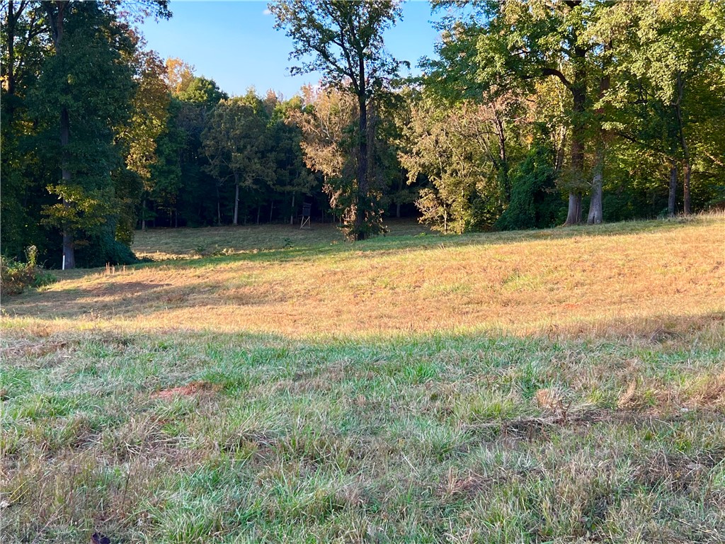 1520 Cannon Bottom Road Belton, SC 29627 - Photo 6 of 14