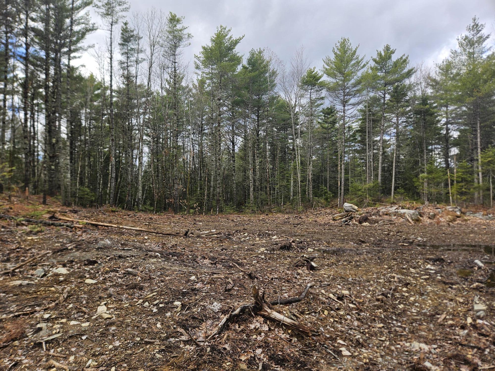 Lot 7 Rockland Road Somerville, ME 04348 - Photo 5 of 10