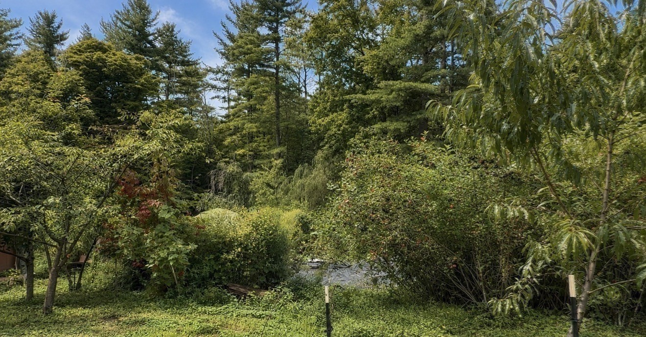 347 Kinnebrook Road Worthington, MA 01098 - Photo 38 of 39 Gallery Image 38