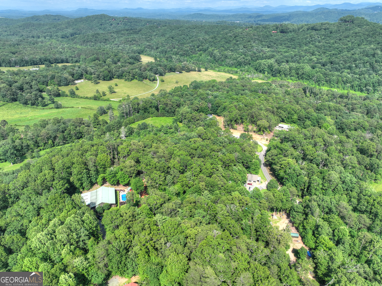 0 Sugar Creek Road Blue Ridge, GA 30513 - Photo 7 of 13