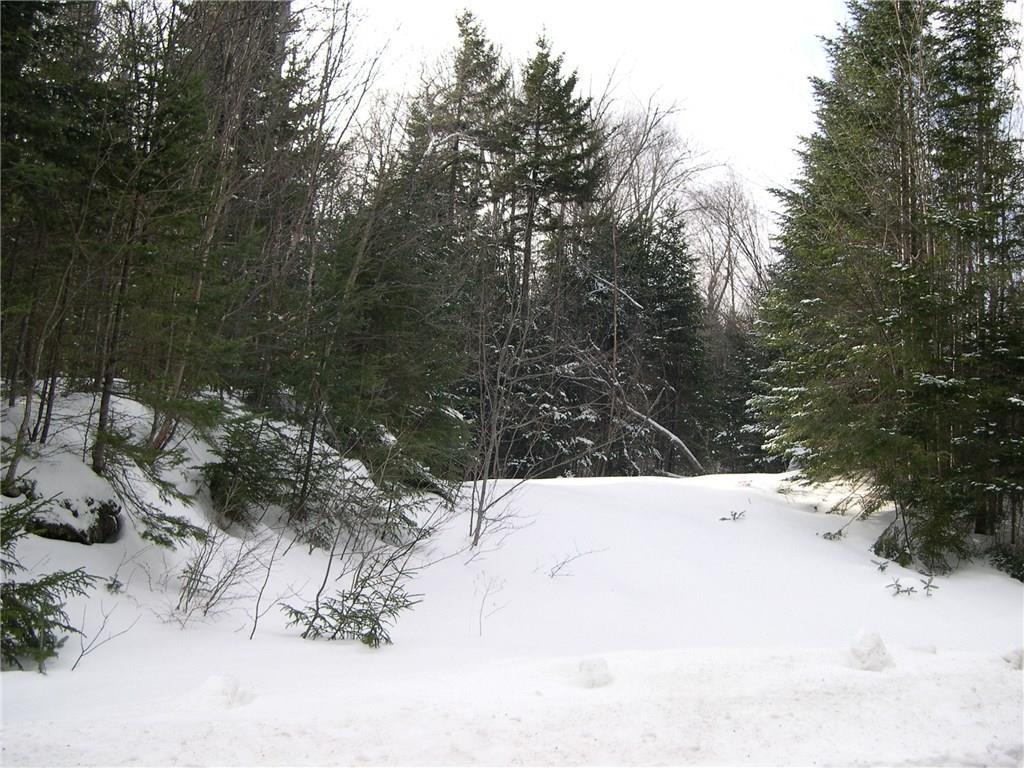 Lot 50 Edelheid Road Sandy River Plt, ME 04970 - Photo 8 of 16 Driveway in Winter