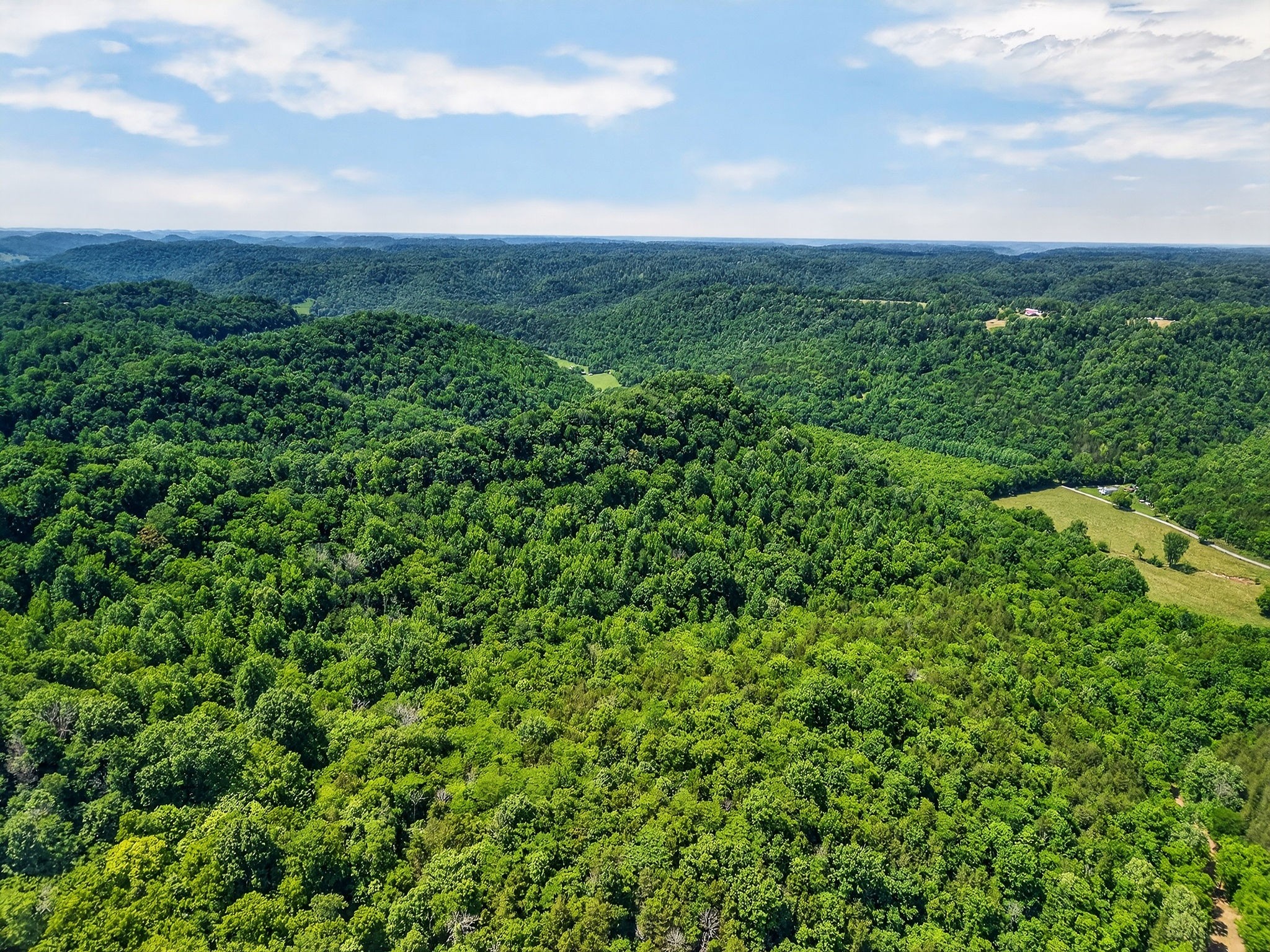 2926 Bryant Ridge Road Baxter, TN 38544 - Photo 51 of 64