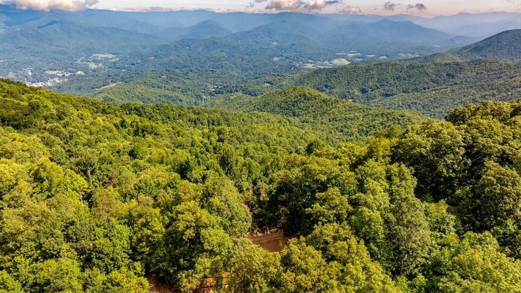 0 East Alarka Road Bryson City, NC 28713 - Photo 2 of 28