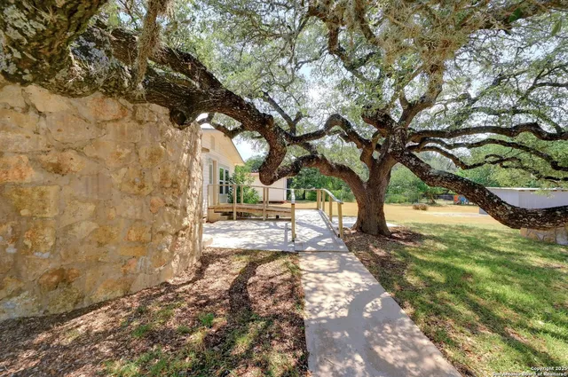 a view of yard with trees