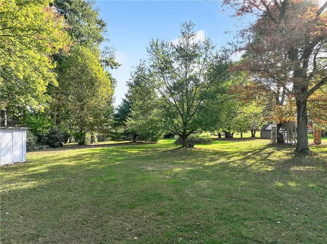 a view of a trees in a yard