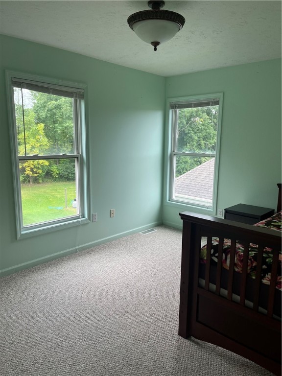 992 Pondbrook Point Webster, NY 14580 - Photo 23 of 33