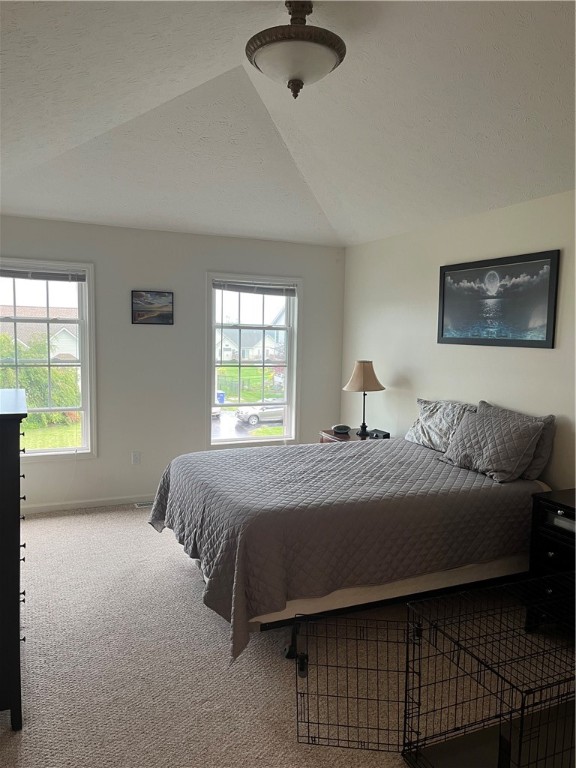 992 Pondbrook Point Webster, NY 14580 - Photo 26 of 33