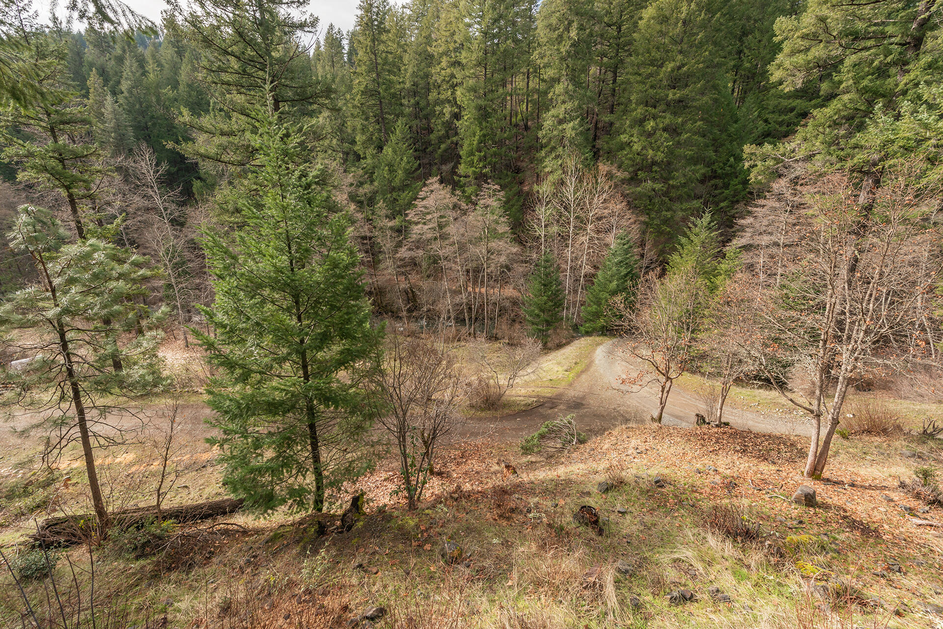 540 Lost Bridge Road Lewiston, CA 96052 - Photo 29 of 67 DSC_5677