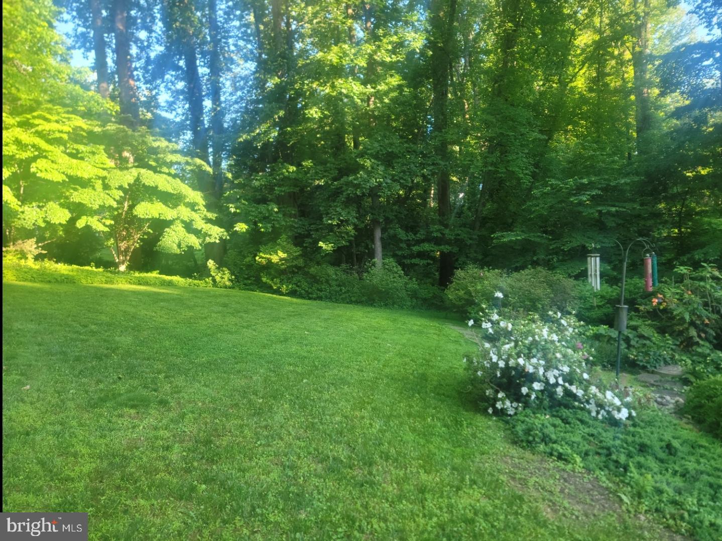 1097 Old Cedar Road McLean, VA 22102 - Photo 5 of 9 Back yard