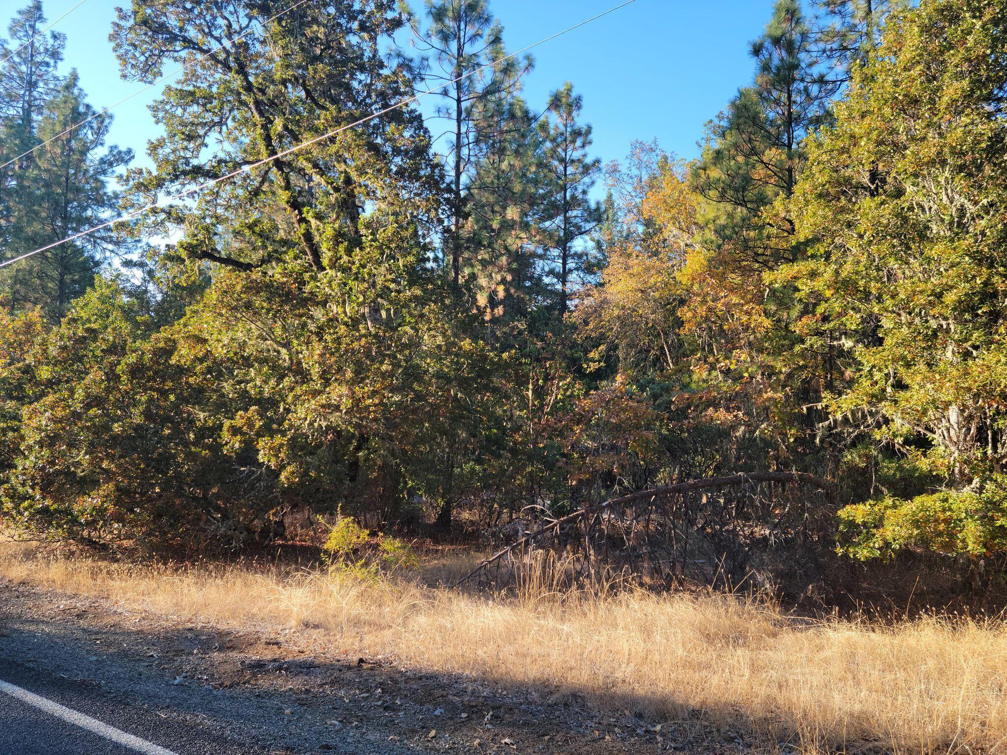 109 Garner Road Cave Junction, OR 97523 - Photo 2 of 4 Garner 3