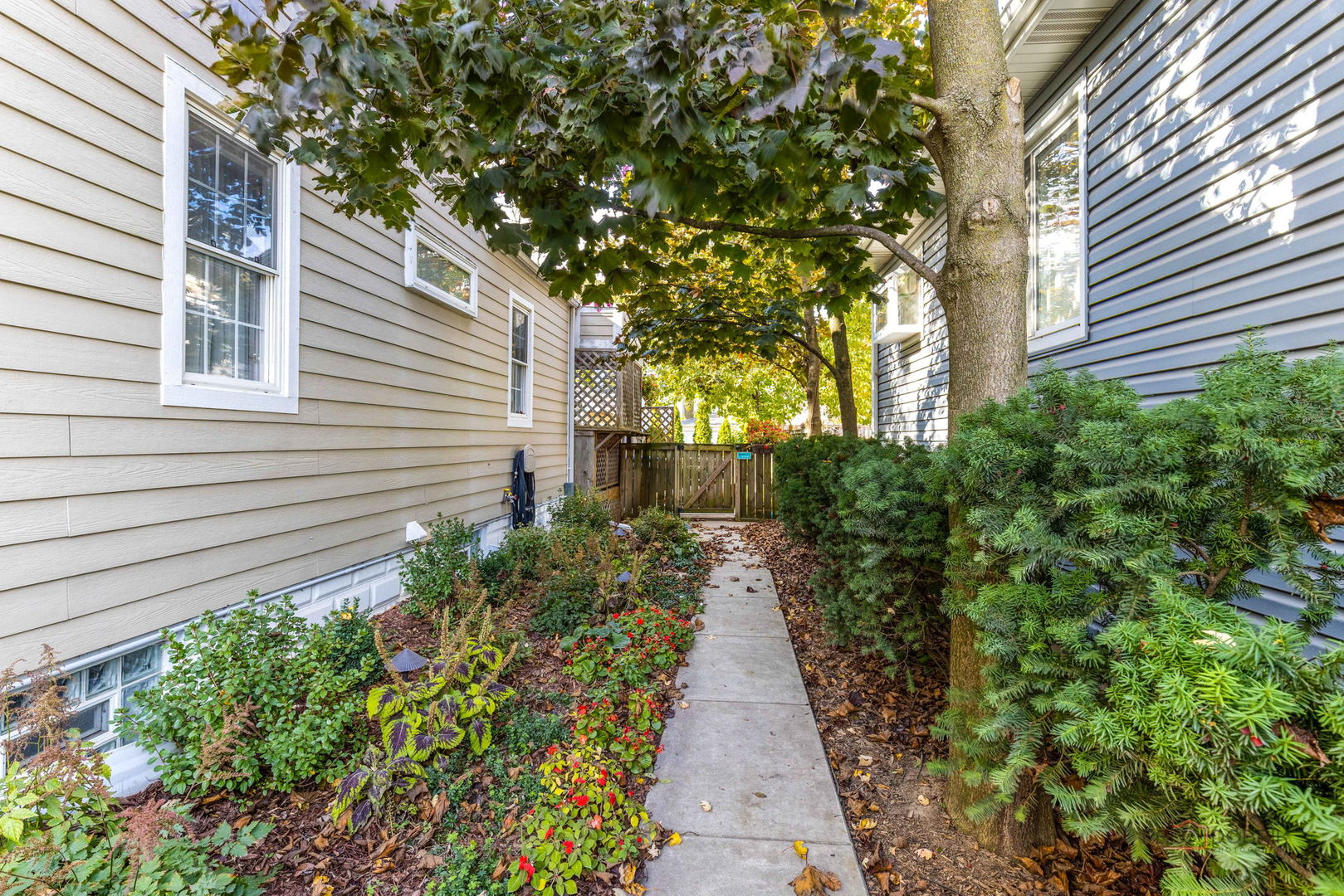 960 Chestnut Street Deerfield, IL 60015 - Photo 3 of 6 a view of a backyard with potted plants