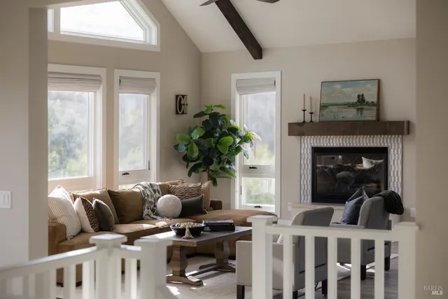 a living room with furniture a potted plant and a fireplace
