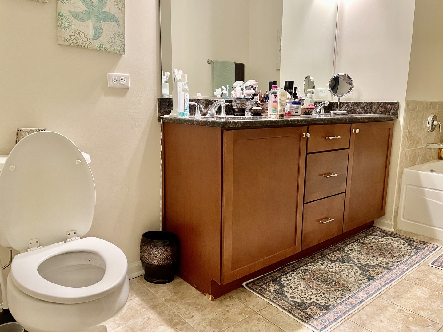 2018 Shermer Road, Unit 2018 Glenview, IL 60026 - Photo 18 of 39 a bathroom with a toilet sink and mirror