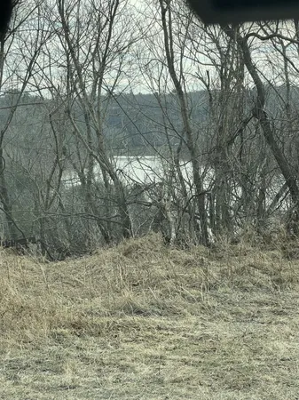 a backyard of a house with lots of trees