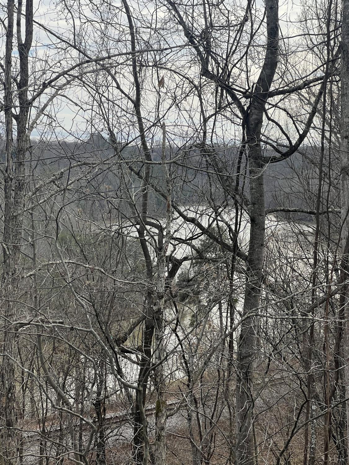 1 Bandy Mill Road Hardy, VA 24101 - Photo 5 of 8 a view of tree with two of trees
