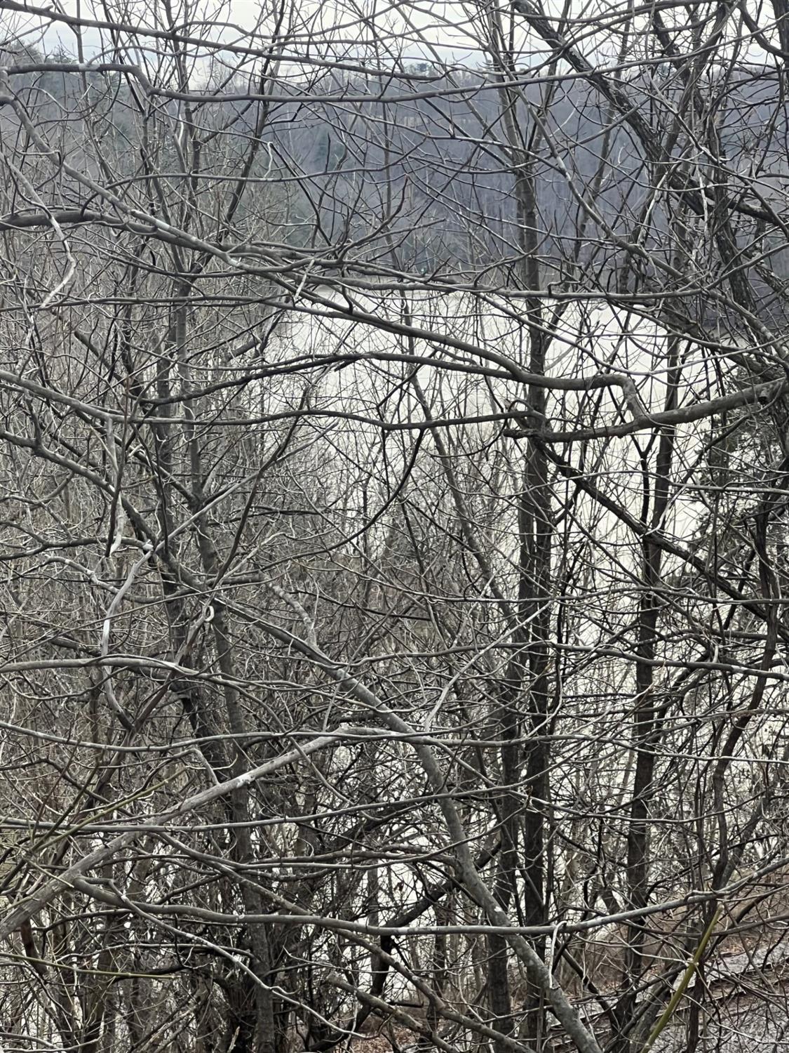 1 Bandy Mill Road Hardy, VA 24101 - Photo 7 of 8 a backyard of a house with lots of trees