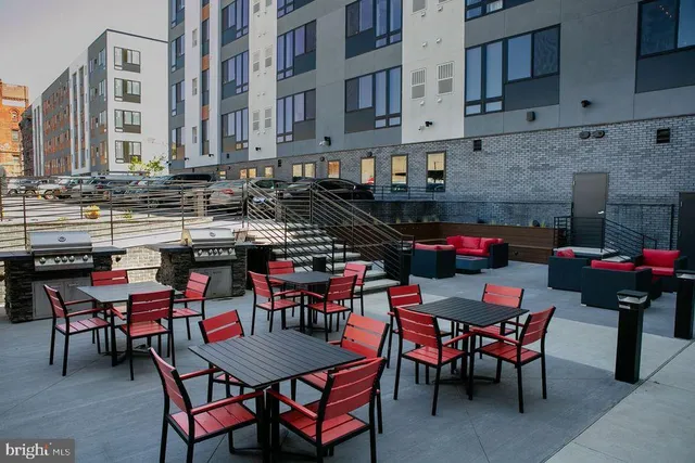 a view of a backyard with a garden and plants