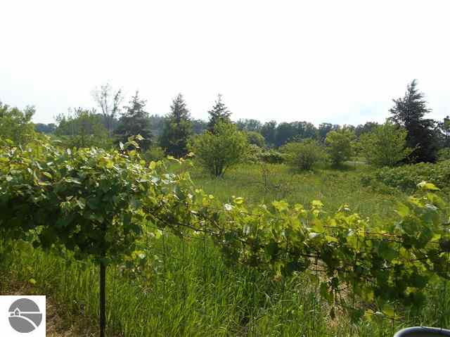 7411 East Lincoln Road Cedar, MI 49621 - Photo 13 of 25 1747985-12.JPG
