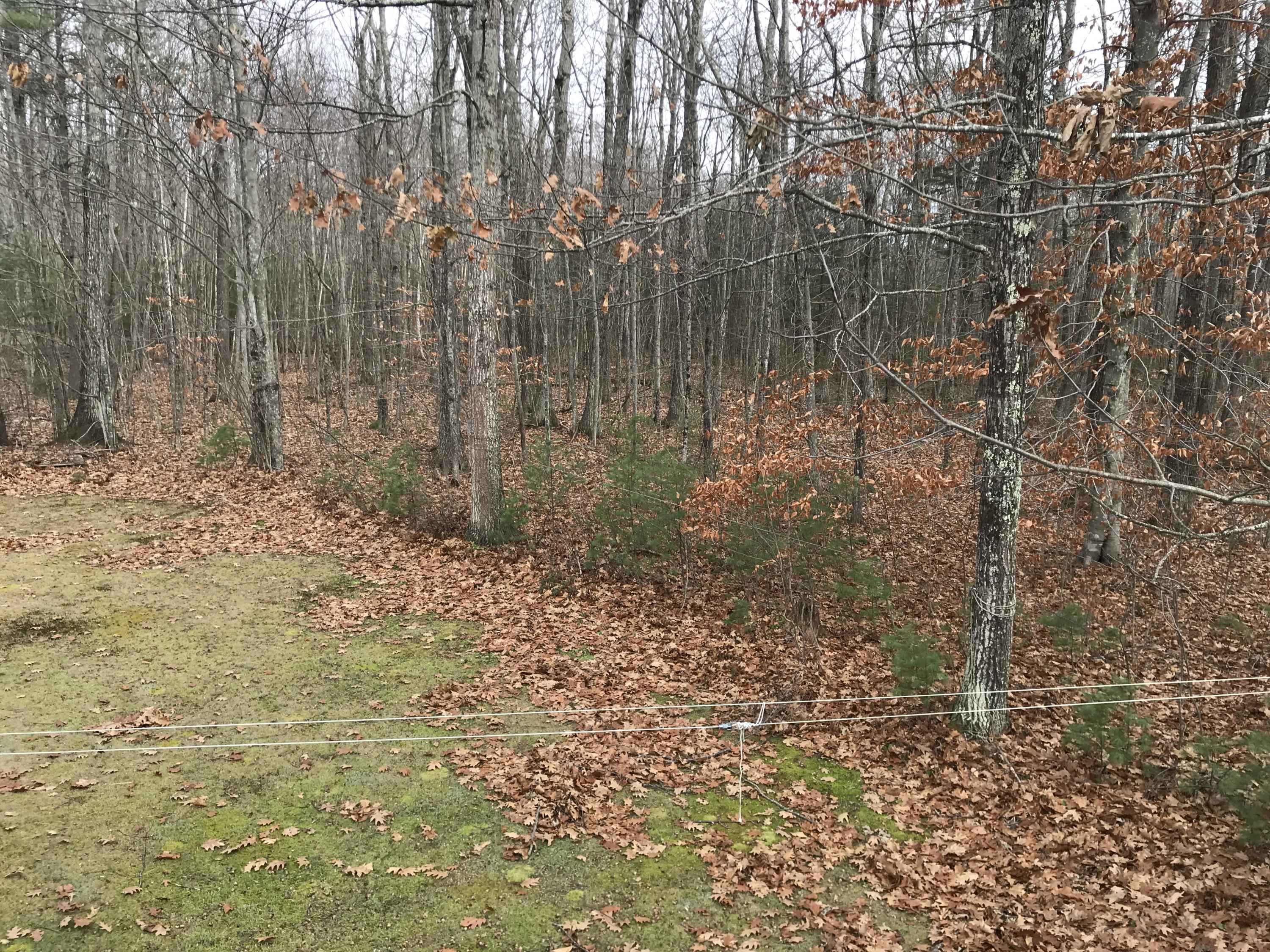 52 Timber Ridge Drive Arundel, ME 04046 - Photo 15 of 21 2020-11-18 12.00.19