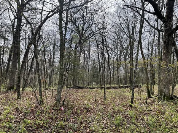 $150,000 | Kullman Road, Lincoln, MO 65338