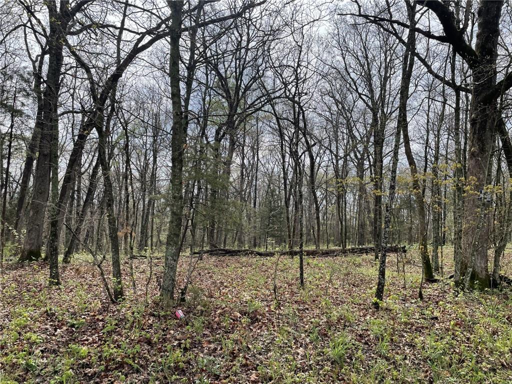 Kullman Road Lincoln, MO 65338 - Photo 1 of 1