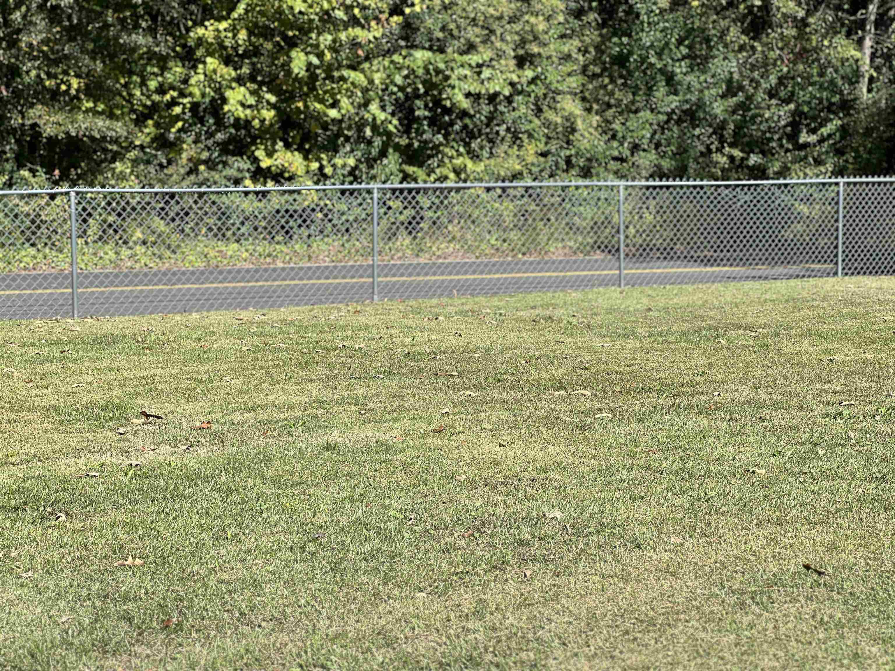 964 Iron Ore Road Spartanburg, SC 29303 - Photo 42 of 46