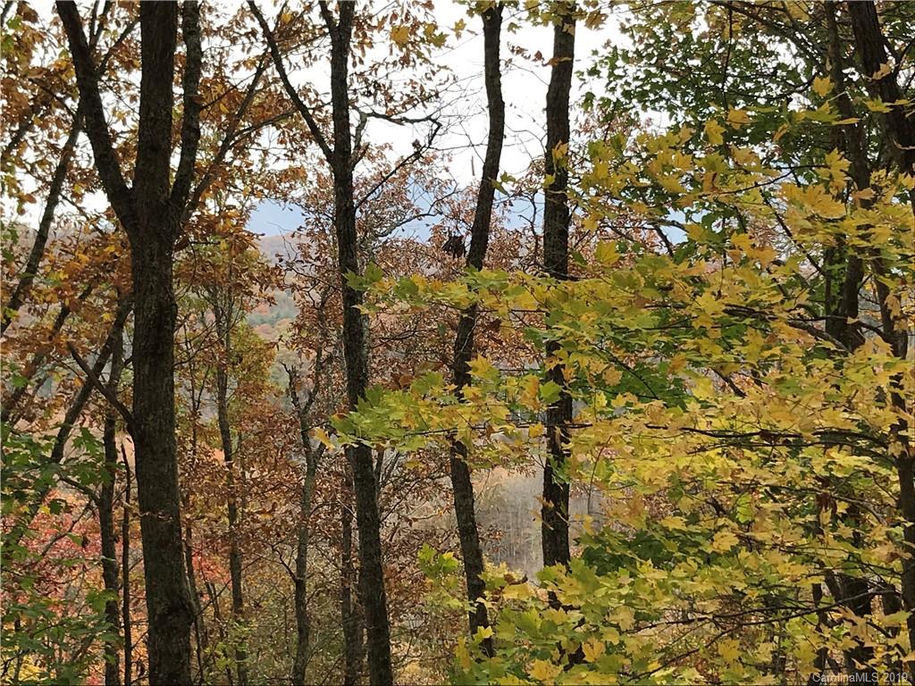 1540 Scarlet Ridge Sylva, NC 28779 - Photo 19 of 24