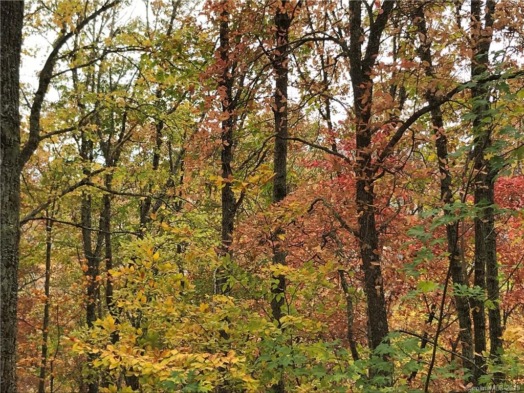 1540 Scarlet Ridge Sylva, NC 28779 - Photo 20 of 24