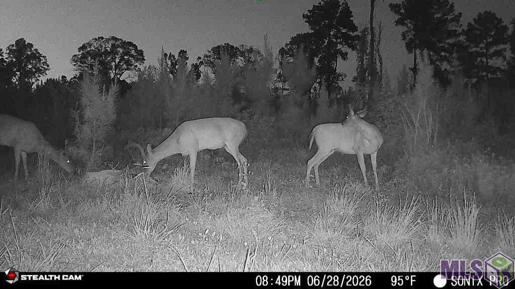 3320 Busy Corner Road Gloster, MS 39638 - Photo 29 of 34