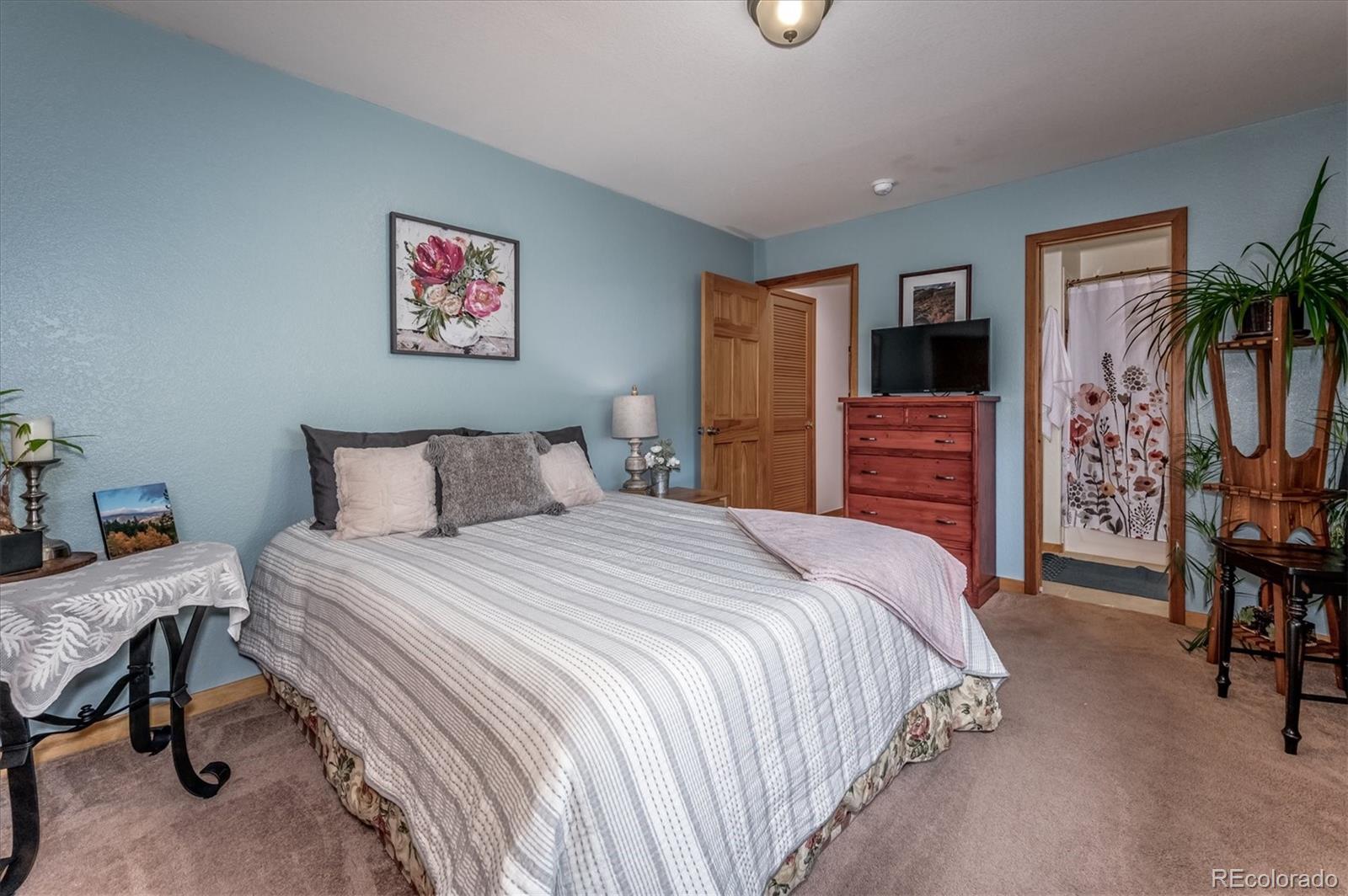 95 Mable Lane Bailey, CO 80421 - Photo 16 of 26 Gallery Image 16