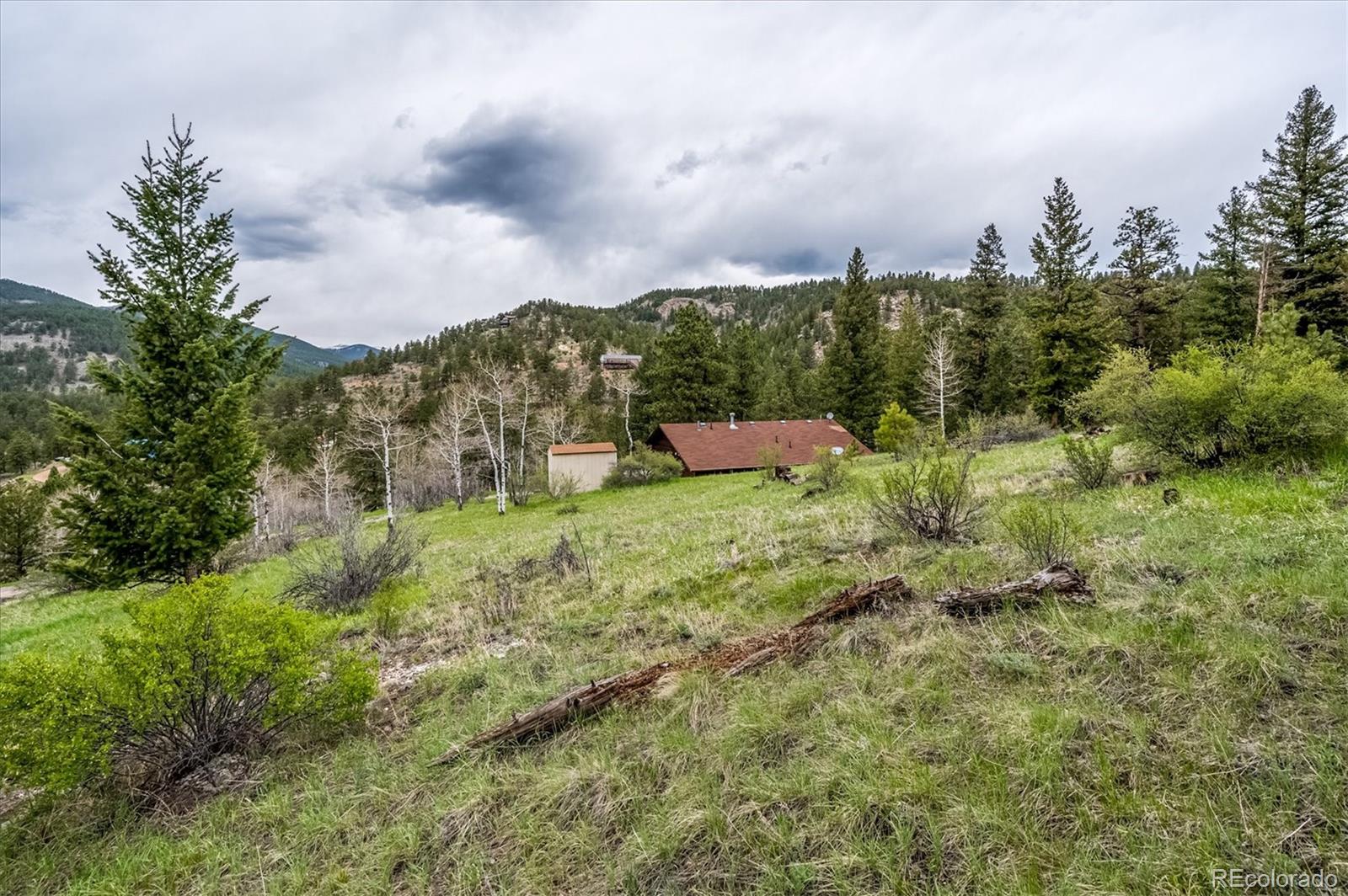 95 Mable Lane Bailey, CO 80421 - Photo 20 of 26 Gallery Image 20