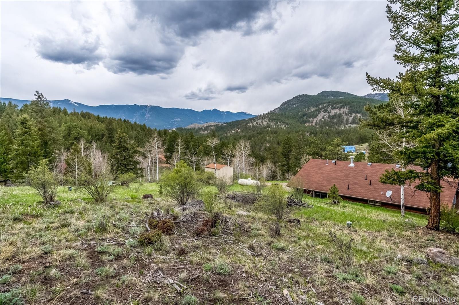 95 Mable Lane Bailey, CO 80421 - Photo 21 of 26 Gallery Image 21
