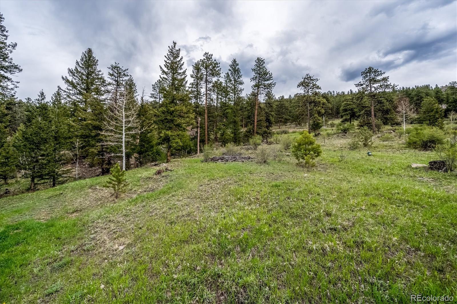 95 Mable Lane Bailey, CO 80421 - Photo 23 of 26 Gallery Image 23