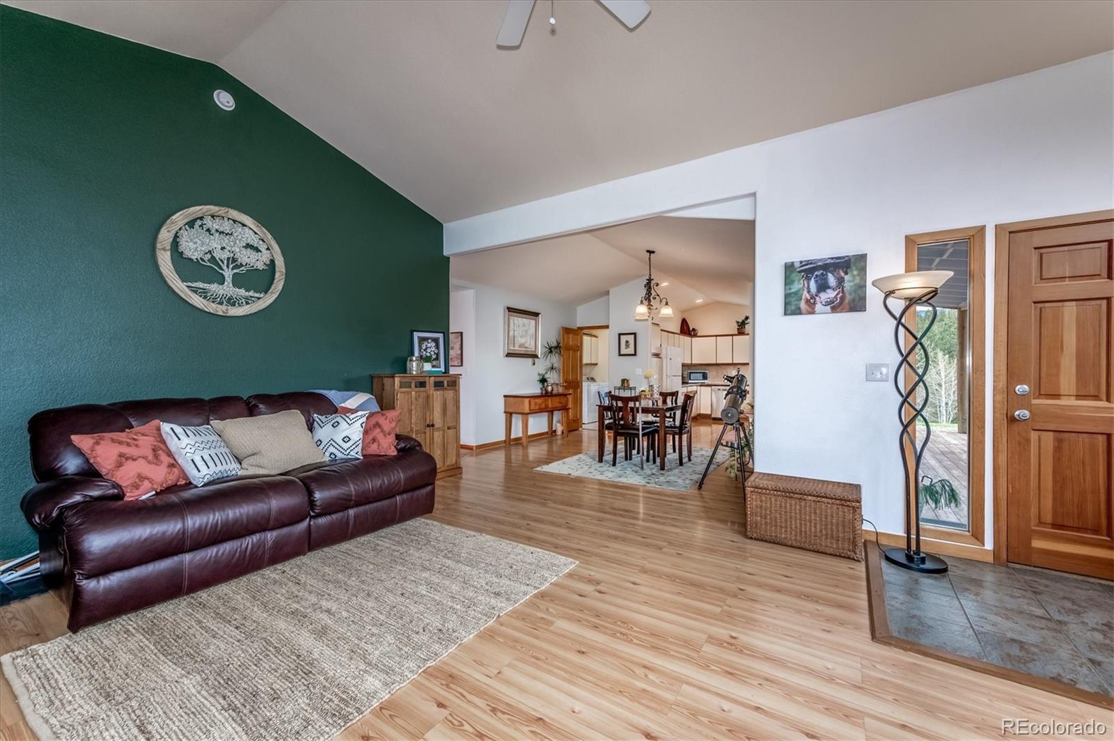 95 Mable Lane Bailey, CO 80421 - Photo 5 of 26 Gallery Image 5