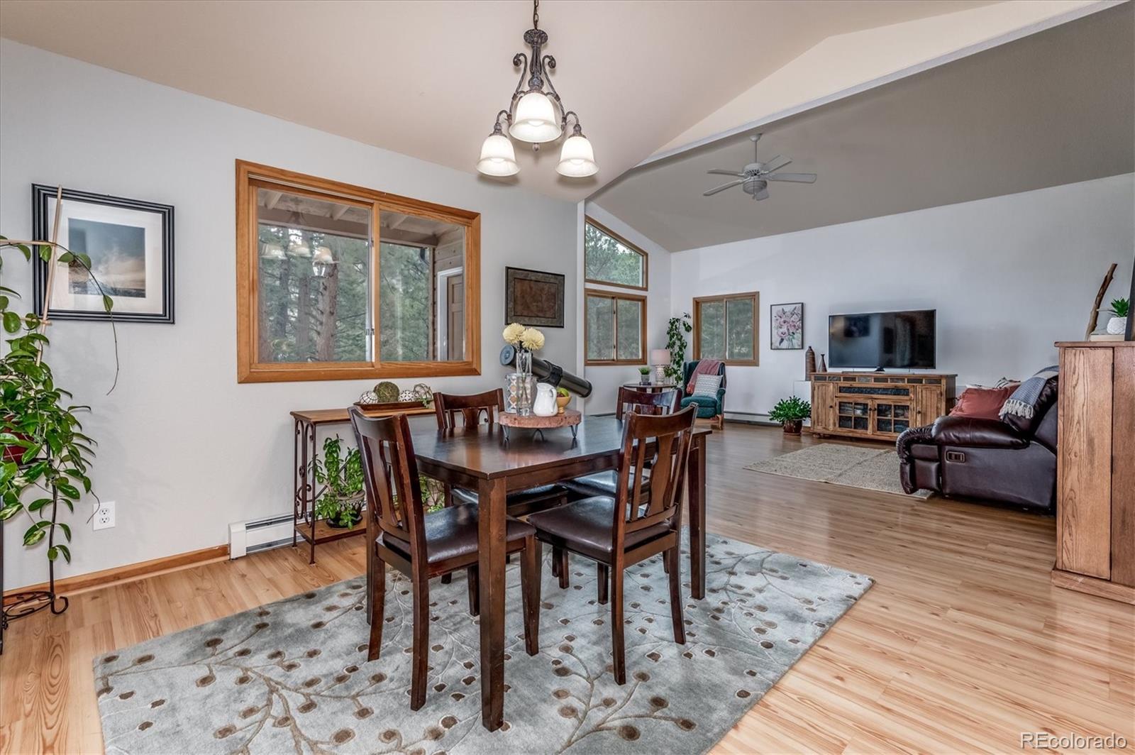 95 Mable Lane Bailey, CO 80421 - Photo 8 of 26 Gallery Image 8
