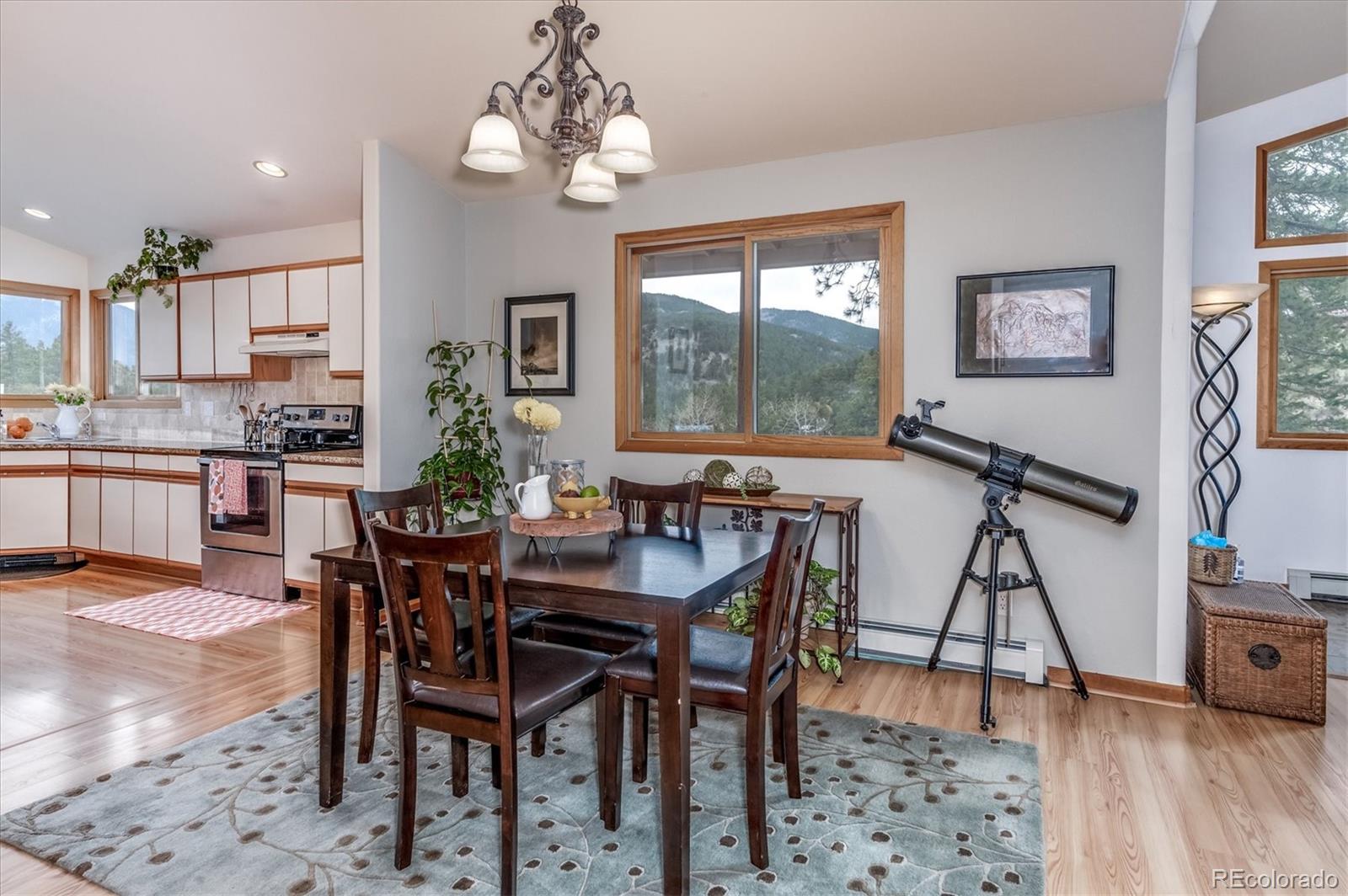 95 Mable Lane Bailey, CO 80421 - Photo 9 of 26 Gallery Image 9